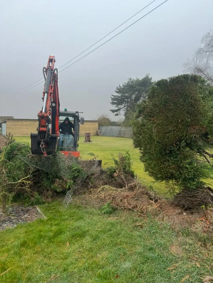 Excavator clearing overgrown hedge and garden debris