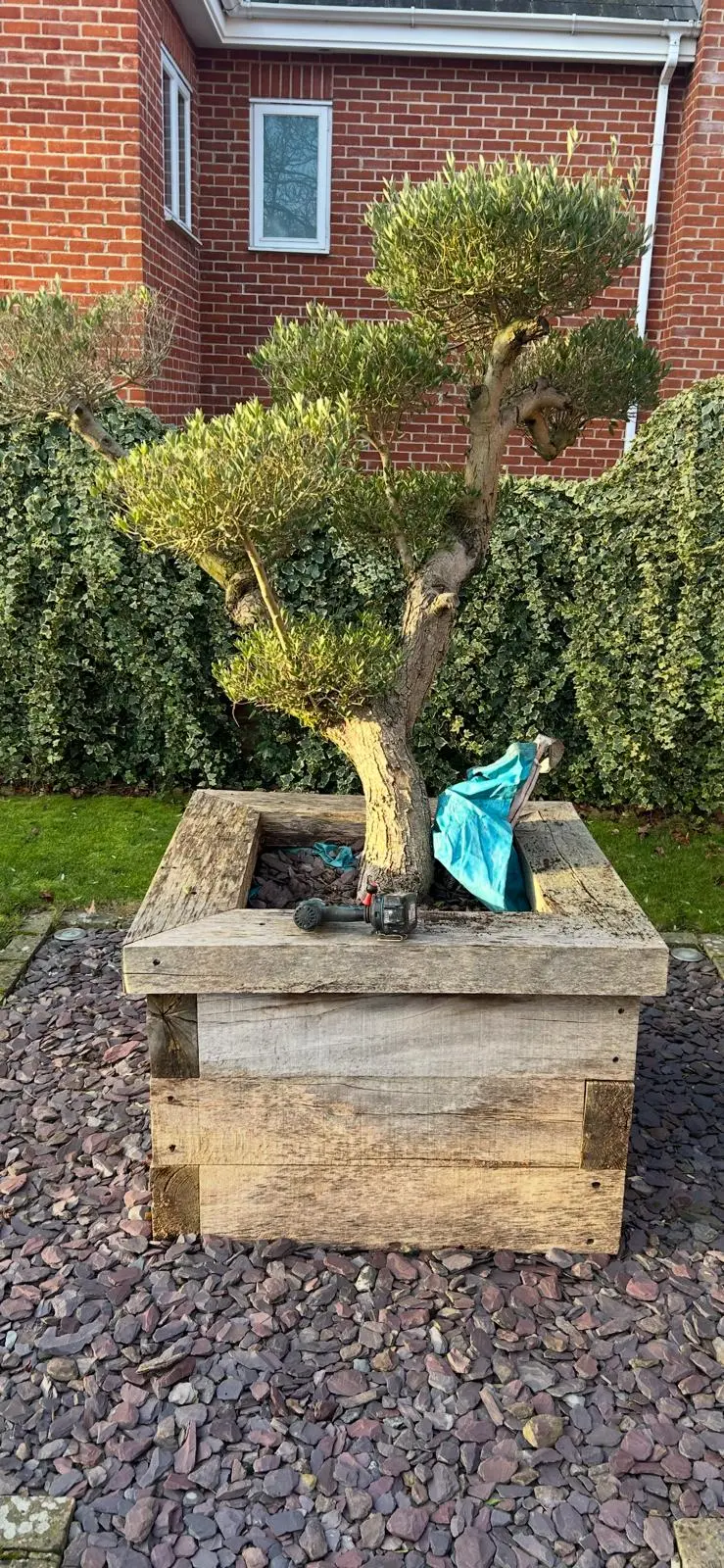 Professional Garden Design